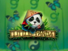 Little Panda