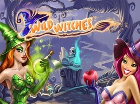 Wild Witches