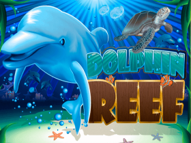 Dolphin Reef