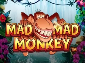 Mad Mad Monkey