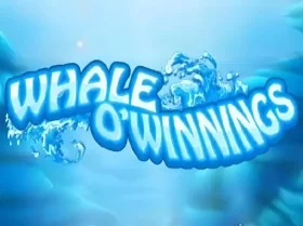 Whale OWinnings